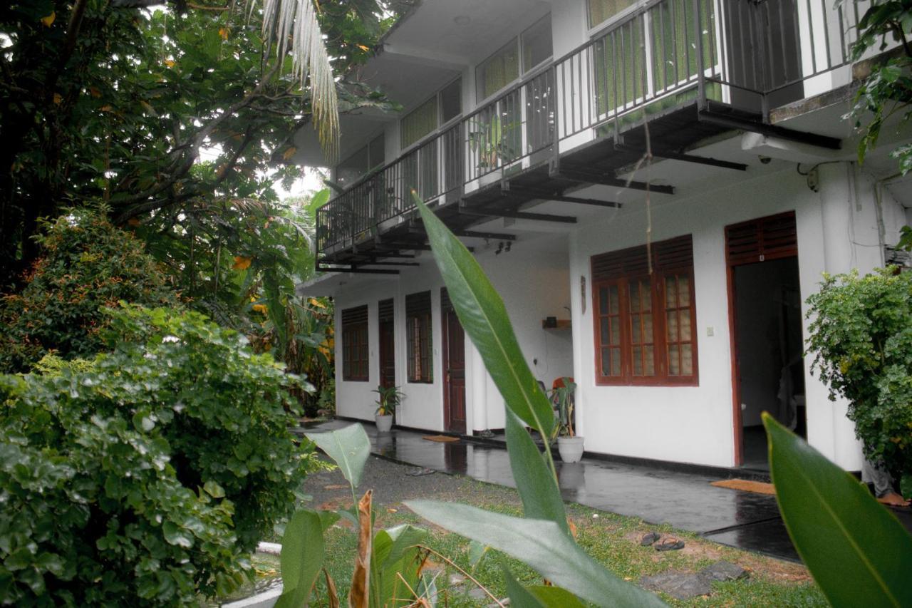 Hotel Bananas Mirissa Exteriér fotografie