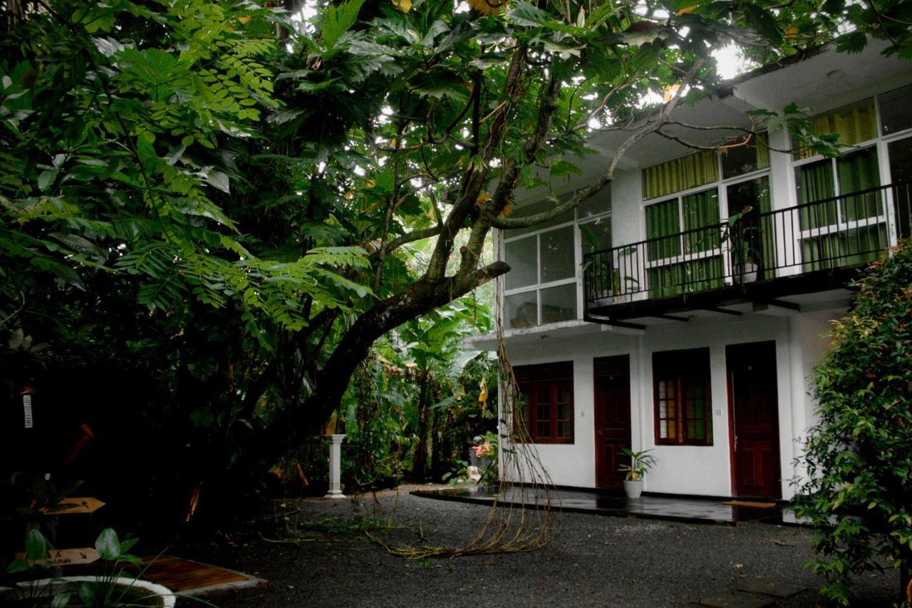 Hotel Bananas Mirissa Exteriér fotografie